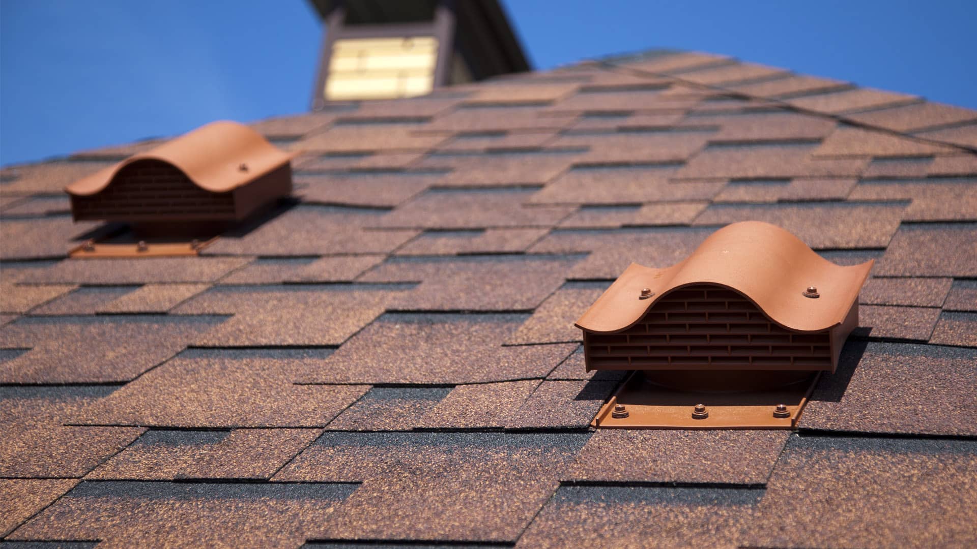 Roof Cleaning Services Image